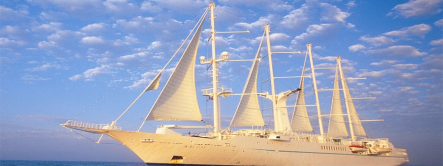 1355250465_magicfields_big_image_1_1